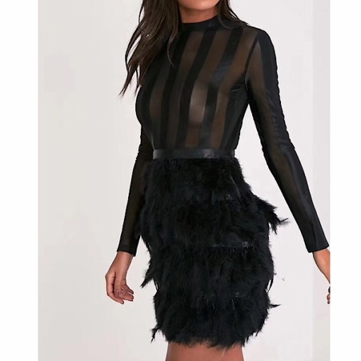 Long Sleeve Sheer Feather Bodycon Dress