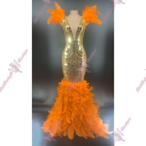 Gianella Mirror Feather Dress