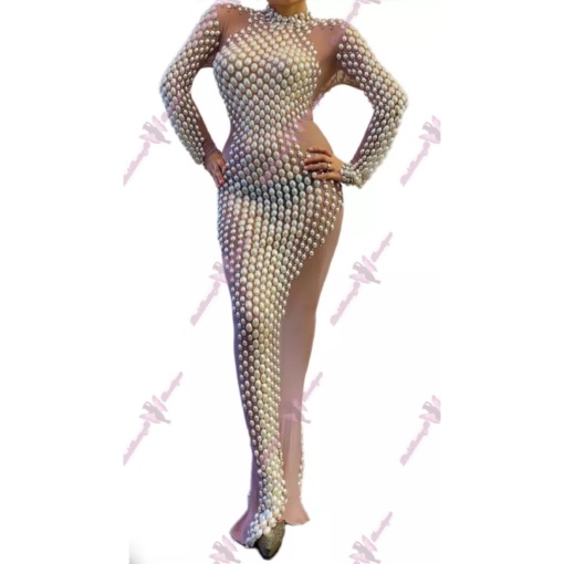 Gwendolyn Pearl Mesh Dress