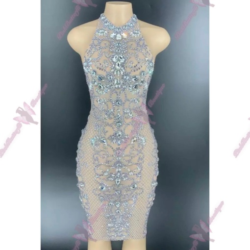 Elina Crystal Mesh Dress