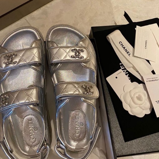 Platinum CC Slides