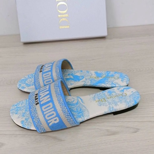 CD Blue Slides